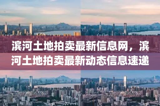 濱河土地拍賣(mài)最新信息網(wǎng)，濱河土地拍賣(mài)最新動(dòng)態(tài)信息速遞